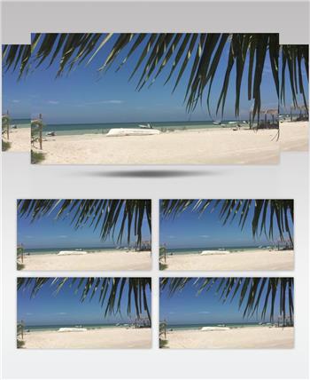 沙滩椰树 款A19145沙滩无音乐 led视频素材