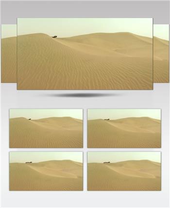 0310-沙漠骆驼队2交通 运输