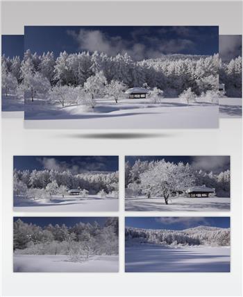 ［4K］ 冬季高原雪景 4K片源 超高清实拍视频素材 自然风景山水花草树木瀑布超清素材