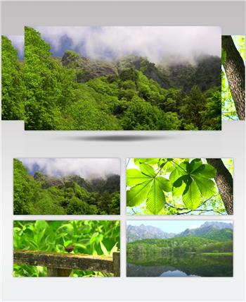 ［4K］ 仙境 4K片源 超高清实拍视频素材 自然风景山水花草树木瀑布超清素材