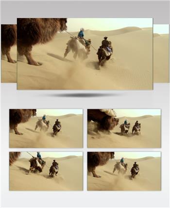 0309-沙漠骆驼队1交通 运输