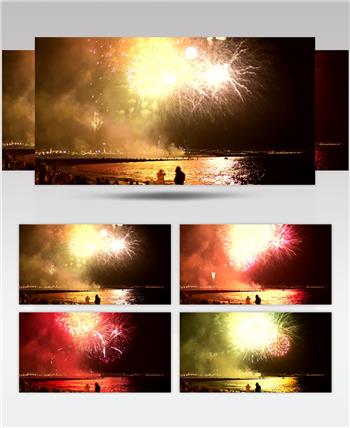 在晚上的庆祝活动中，人们欣赏在海边的天空中燃放的烟火。