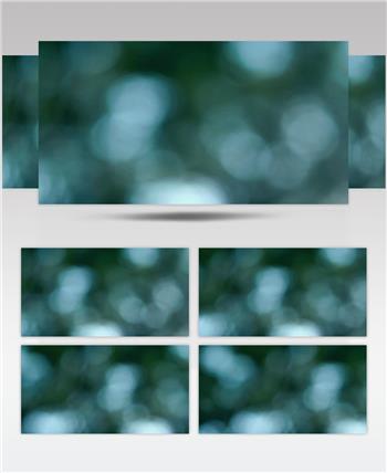 粒子背景模糊的天空光线穿过一棵树