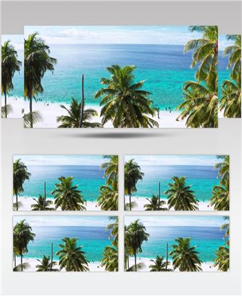 蓝色天堂海滩的沙滩椰子树