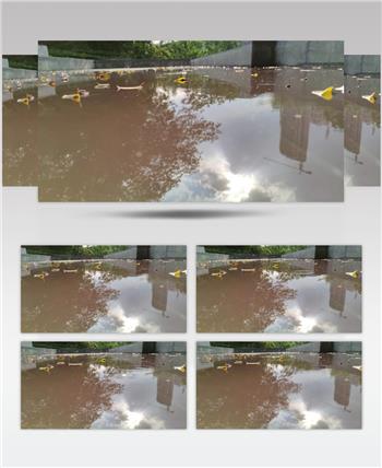 VID_20210902_162613_HSR_120