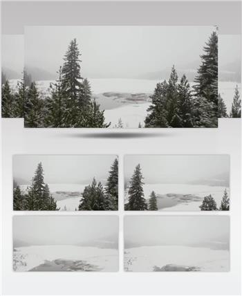 冰雪覆盖的松树林中的冰湖实拍视频
