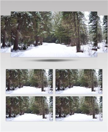 森林中的下雪道路实拍视频