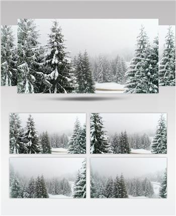 圣诞节冬季大雪纷飞的森林美景