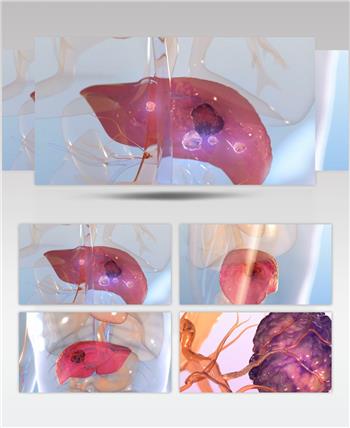 人体器官 三维动画 医疗 科普 宣传视频素材