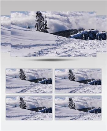 松树林中白雪皑皑雪山
