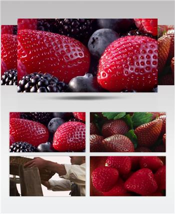 超赞草莓集合蓝莓树莓草莓牛奶水果视频素材