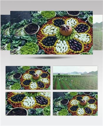 农业种植瓜果丰收农产品视频素材