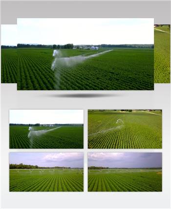 先进农业灌溉高清视频素材