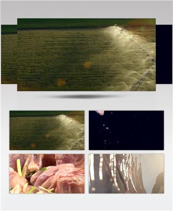 新鲜辣椒采摘辣椒特写农业无公害蔬果实拍视频素材