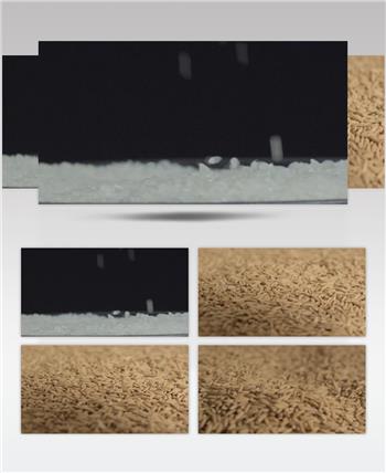 米粒稻粒撒落升格