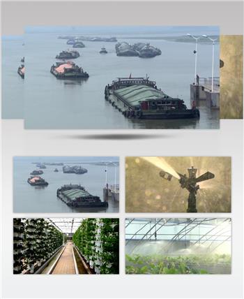 实拍果树浇灌高效节水务农作业高清视频