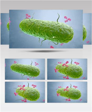 绿色病毒细胞动画