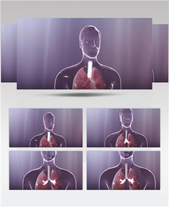 肺炎人体肺部3D医学动画医疗教育视频素材