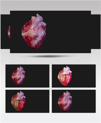 心脏跳动医学三维动画视频