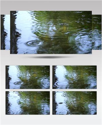 雨天 特写 自然 湖 水 下雨 雨 特写镜头