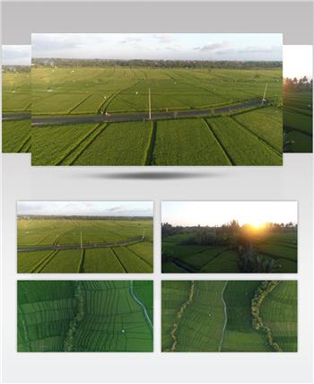 航拍农田稻田现代化农业耕种生产背景视频