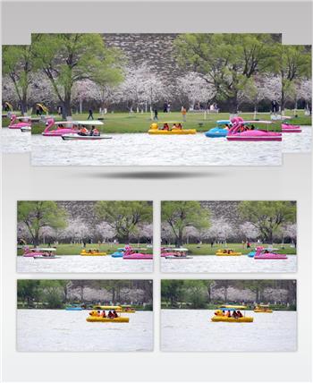 南京玄武湖公园乘船游玩4K