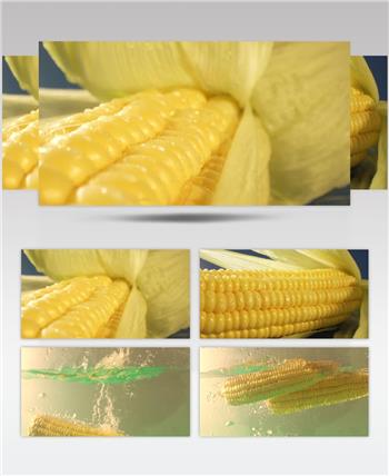新鲜富含水谷玉米特写杂粮食材视频素材
