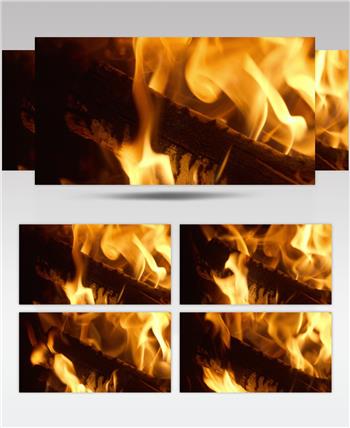 燃烧的木炭火焰木柴火堆篝火