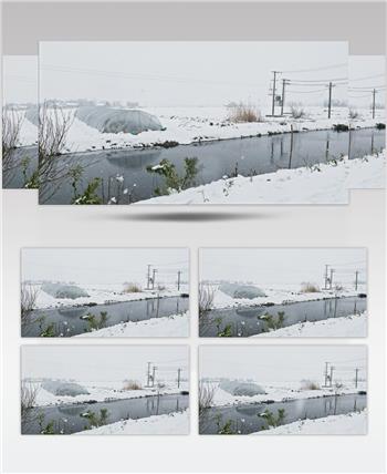 农村鹅毛大雪田野被白雪覆盖