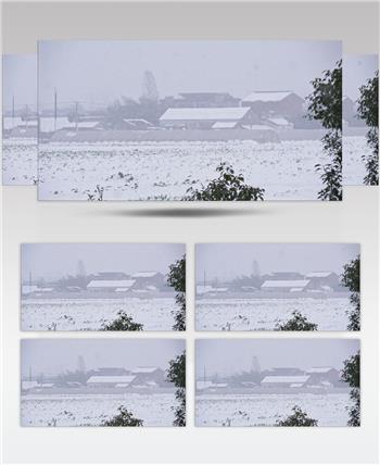 农村冬天鹅毛大雪白雪覆盖田野