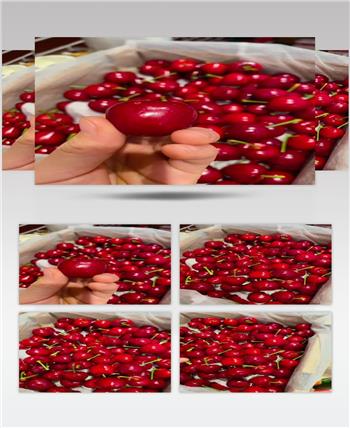 实拍国内车厘子高清晰素材