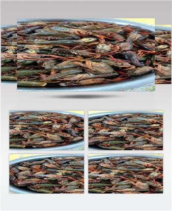 实拍鲜小龙虾素材