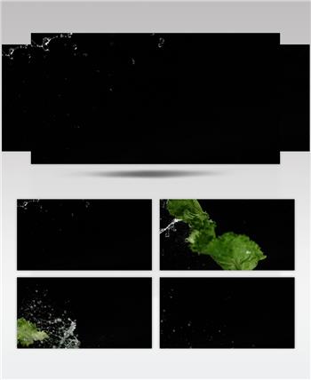 蔬菜 生菜 青菜 水滴