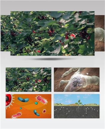 农业植物病虫害