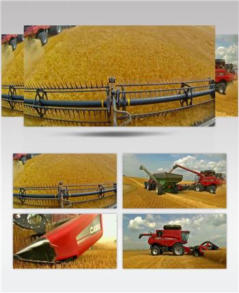农场小麦丰收机械化设备
