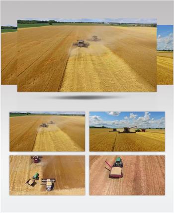 航拍全自动机械化小麦丰收