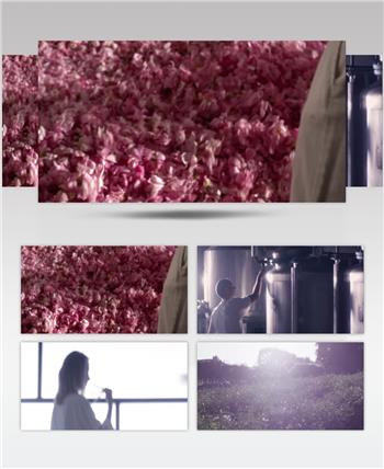 天然植物精华玫瑰花精油提取护肤美白补水视频素材