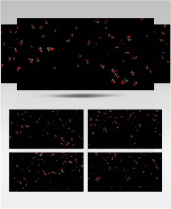 4K红玫瑰花飘落【原创带alpha通道】