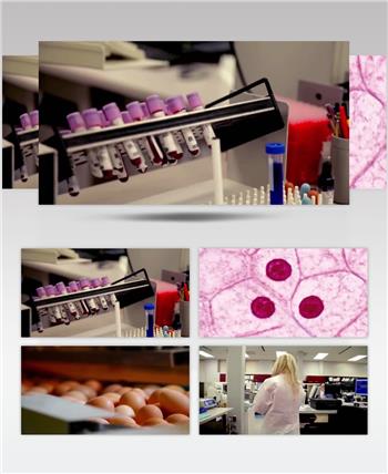 实拍科研实验医学专家医疗科技研发视频素材