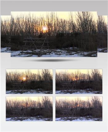 夕阳雪后树林黄昏树木视频素材