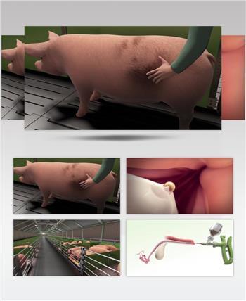 三维机理动画养殖场种猪改良育种优化背景视频