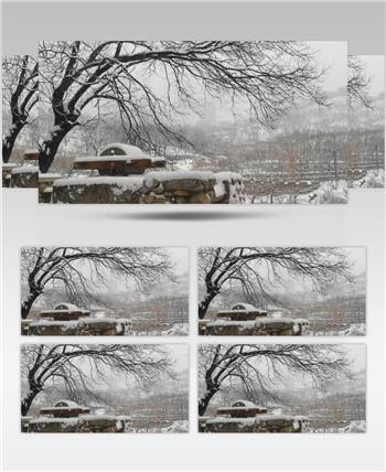 村庄雪景石墨大雪纷飞视频素材