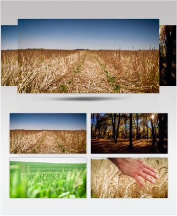 精品农业科技宣传类实用素材空镜头实拍素材