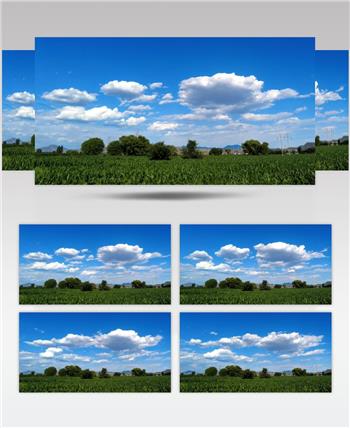 夏日蓝天白云田野上的流云