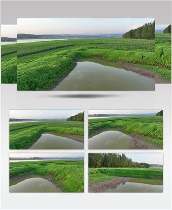 黄河湿地（源素材）DJI_0615