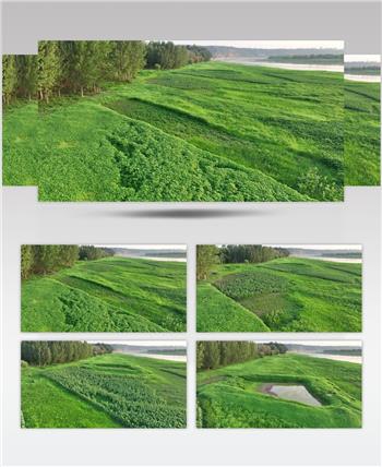 黄河湿地（源素材）DJI_0611