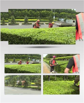 绿化带检修护理浇水