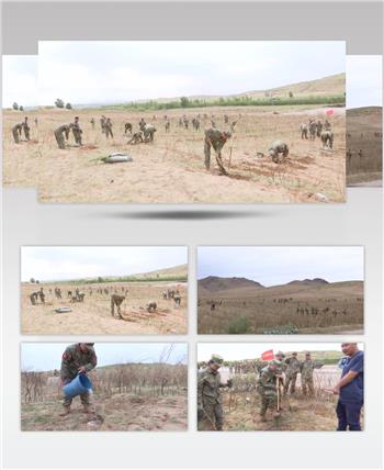 部队官兵植树造林治理荒山