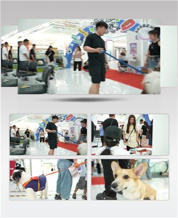 萌宠选美现场报道