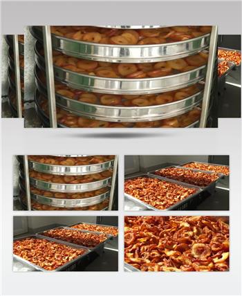 沙果干烘干系统水果干